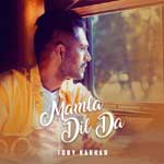 Mamla Dil Da - Tony Kakkar Mp3 Song